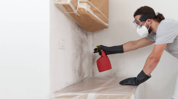 Professional Bathroom Mold Removal technician working in Harrisburg, NC