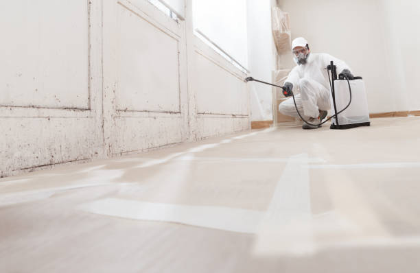 24/7 Emergency Bathroom Mold Removal experts in Harrisburg, NC